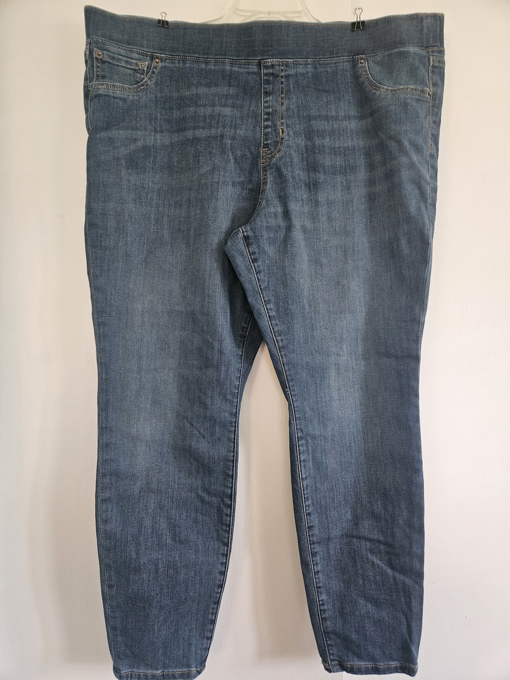 Amazon Jegging Jeans in Faded Blue Wash